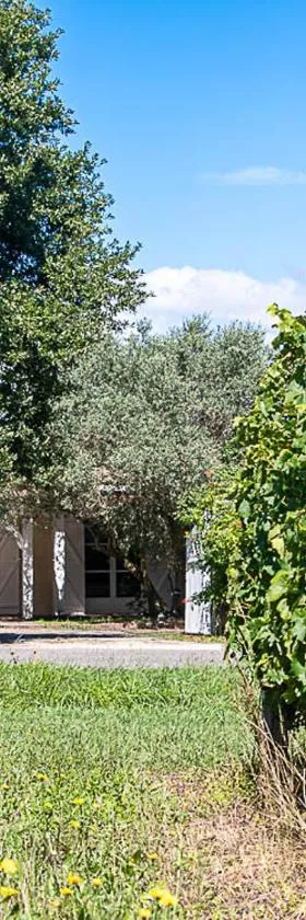 Au détour des vignes，位于Ordonnac的酒店