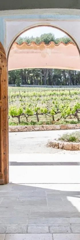 Domaine Rabiega - Vineyard and Boutique hotel，位于德拉吉尼昂的酒店