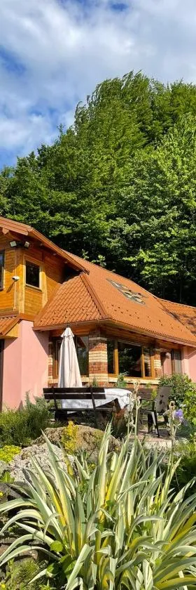 Ranch Diamond Sarajevo，位于Vogošća的酒店