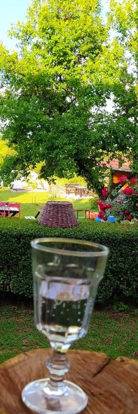 Dečiji vinogradi Belgrade, Sopot, Kosmaj，位于Sopot的酒店