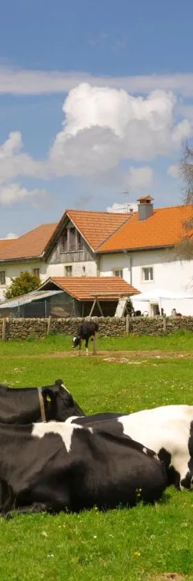 Auberge du Peu-Péquignot，位于Le Noirmont的酒店