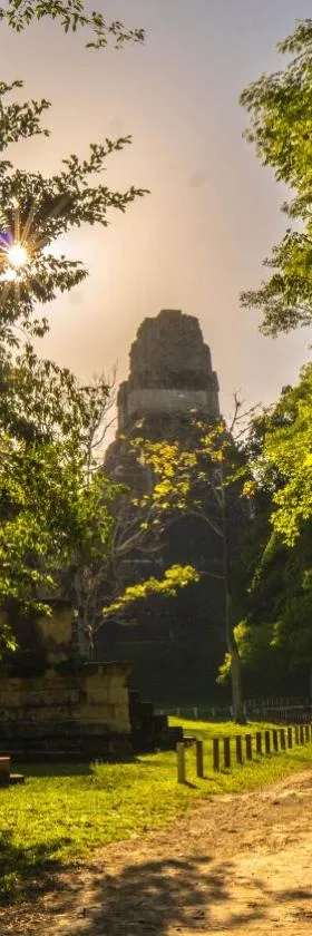 蒂卡尔丛林旅舍，位于蒂卡尔的酒店