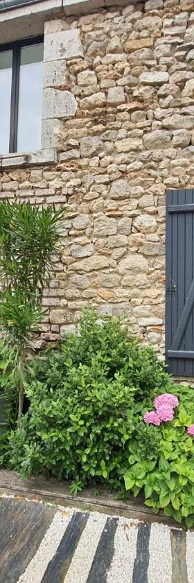 切兹庞特住宿加早餐旅馆，位于Champigny-en-Beauce的酒店