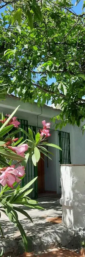Alpujarra Guesthouse, remote off-grid mountain accommodation，位于Cáñar的酒店