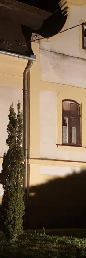 Brezovay Kastély Panzió，位于Egerszólát的酒店