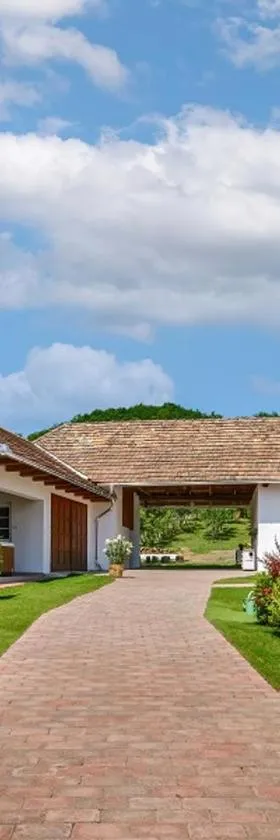 Pipacs és Tulipán Vendégház，位于Bodony的酒店