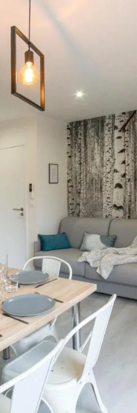 APPART-HOTEL n 4 calme avec terrasse, Wi-fi haut débit, petit-déjeuner, room-service et parking privé，位于Chouzelot的酒店