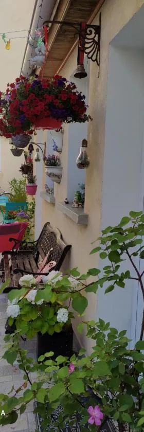 罂粟花酒店，位于蒙鲁日的酒店