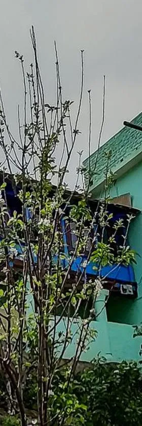Yatra Homestay，位于乔斯希马特的酒店