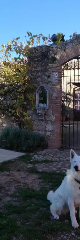 Mas Del Llop Blanc - Dog friendly Hostal Rural - B&B，位于Sobrestany的酒店