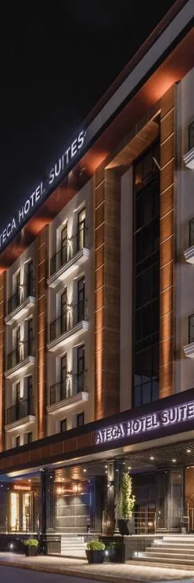 ATECA Hotel Suites Tashkent，位于塔什干的酒店