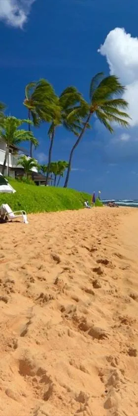 Kiahuna Plantation 96, Poipu Beach, Club Membership, Part Ocean View, Kids Toys，位于科洛阿的酒店