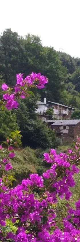 Ribera Sacra ( apartamento Rural )，位于费雷拉的酒店
