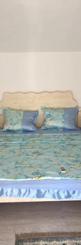 Apartmani Vuk，位于Kaluđerac的酒店