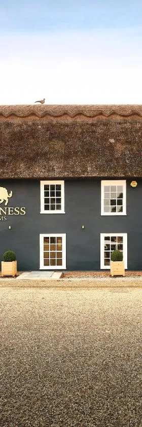 Guinness Arms，位于Icklingham的酒店