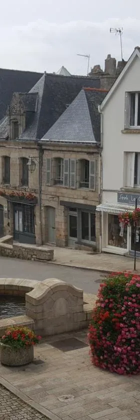 Chambres d'hôtes au centre de Guémené-sur-Scorff，位于斯科夫河畔盖梅内的酒店