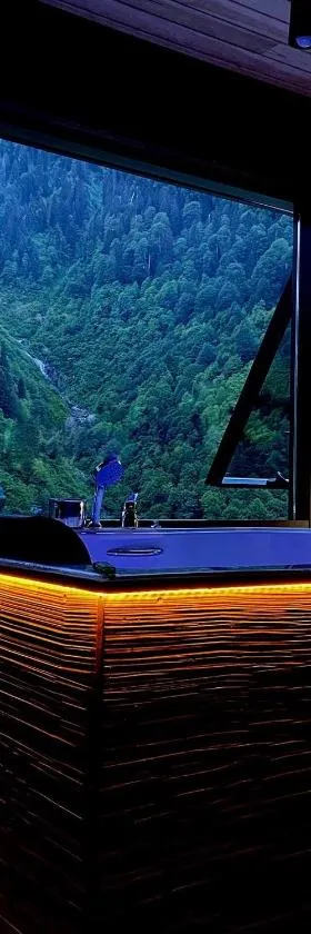 Ayder Villa de Pelit Hotel，位于艾德亚耶拉西的酒店