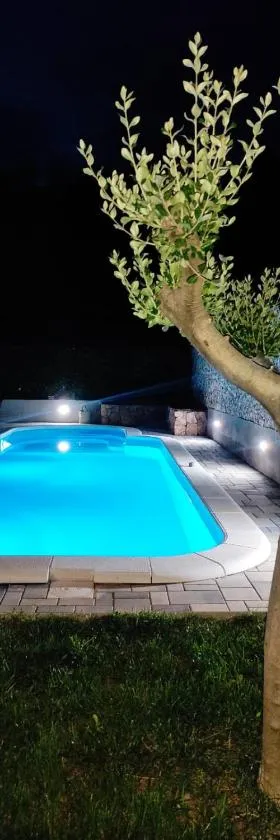 Village holiday apartman with heated pool Maslina，位于Kostanje的酒店