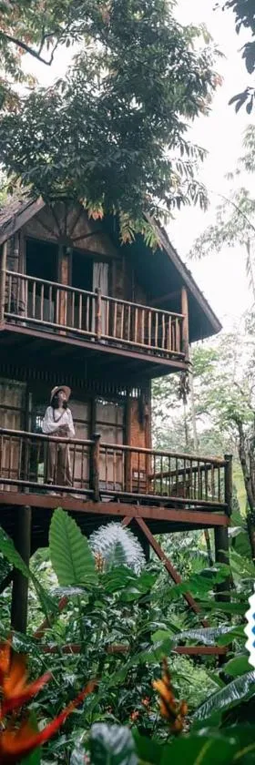 Our Jungle Camp - Eco Resort，位于考索的酒店