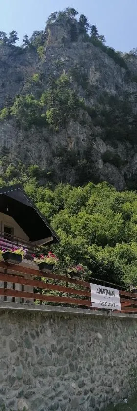 Apartmani Tara i Zabojsko Dobrilovina，位于莫伊科瓦茨的酒店