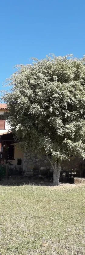 Pousada Bella Vista，位于Ritápolis的酒店