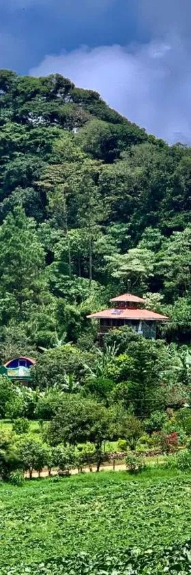 芬卡奈比那德尔博斯克山林小屋，位于埃斯特利的酒店