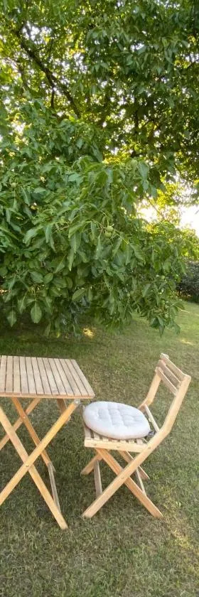 Au paradis d’Alsace 55 m2 nature & relax，位于Ingwiller的酒店