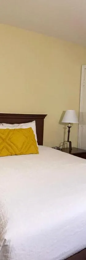 The Central Downtown Inn Suites，位于皮茨菲尔德的酒店