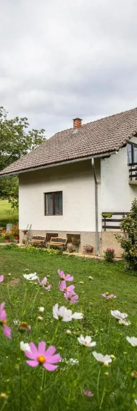 Holiday house On the riverside，位于奥古林的酒店