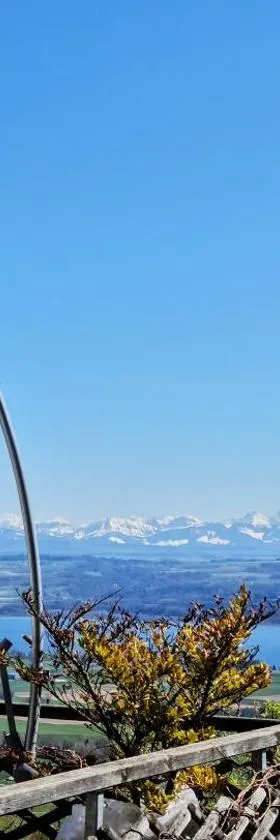 Mont Blanc Chalet，位于Grandevent的酒店