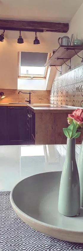 Apartmány Silvestr，位于Dolní Rychnov的酒店