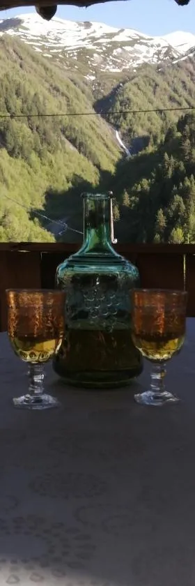 Sesili Guesthouse，位于Adishi的酒店