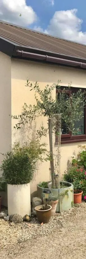 Stone Cottage，位于Nazeing的酒店