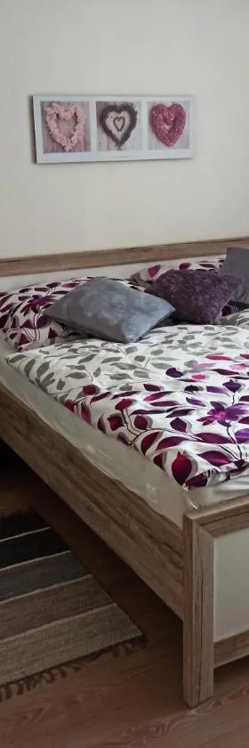 Familly Apartmens，位于多尼杜纳约维采的酒店
