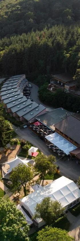 Domaine du Hirtz, Restaurant & Spa，位于Wattwiller的酒店