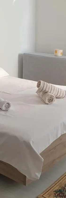 Apartman Sava，位于尼什的酒店