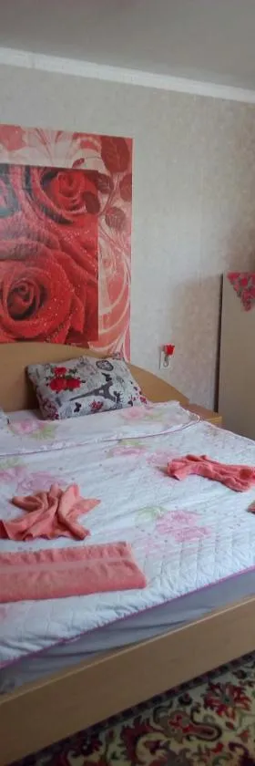 Стаи за гости Тамара，位于Ezerets的酒店