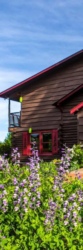 Garnet Hill Lodge，位于North River的酒店