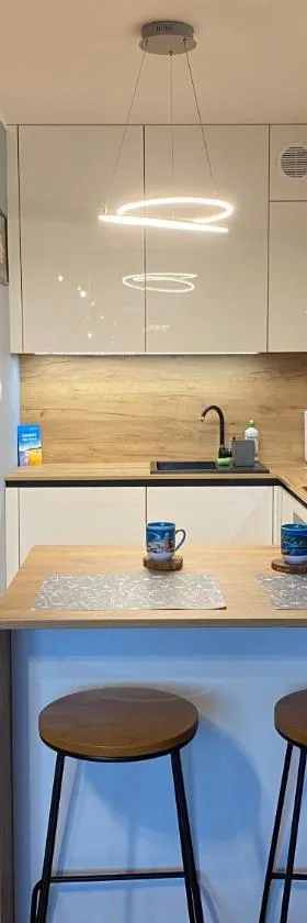 Apartament Amber，位于贡斯基的酒店