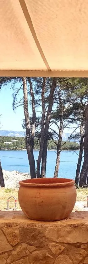 Stone Villa Hvar Ana Nikola Beach Park and Sea View，位于耶尔萨的酒店