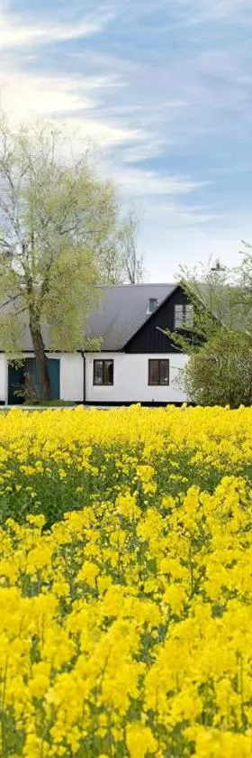 Mellby Atelier på Österlen，位于奇维克的酒店