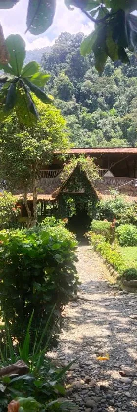 Mountain View Cottages & Villa Tangkahan，位于Tangkahan的酒店