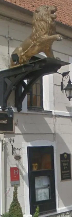 Au Lion d'or，位于Saint-Pol-sur-Ternoise的酒店