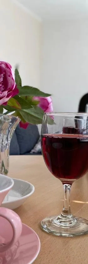Viihtyisä kolmio järven rannalla，位于Haapavesi的酒店