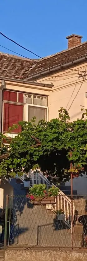 Apartman STOJANOVIĆ，位于帕拉钦的酒店