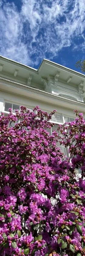 Bloom Farm Guesthouse，位于Mount Vision的酒店
