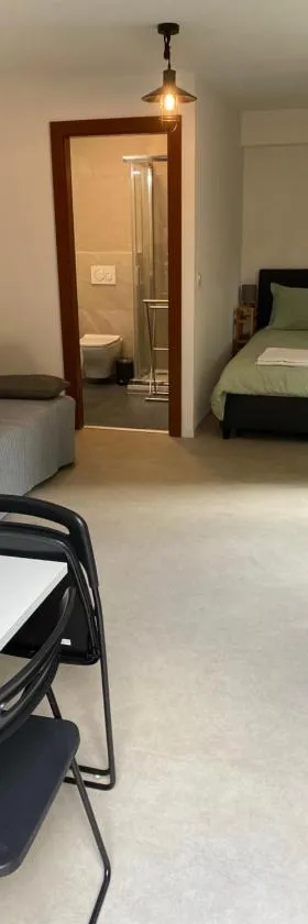 Joli Studio près des Bains de Lavey，位于Savatan的酒店