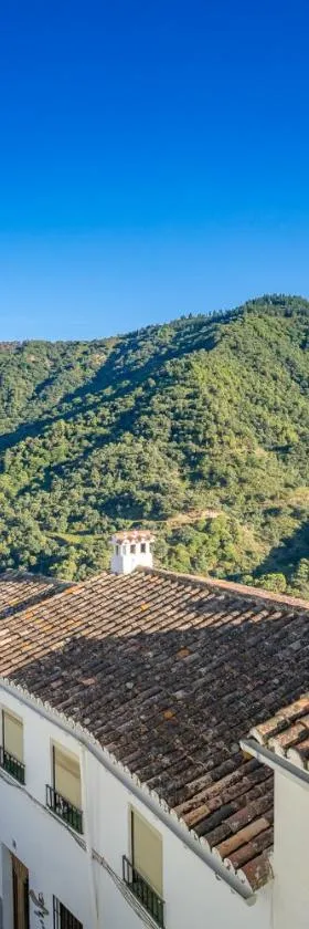 Calle Cruz，位于Jubrique的酒店