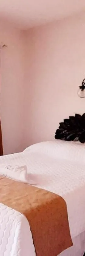 沙克拉乔尔酒店，位于韦韦特南戈的酒店