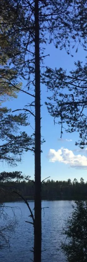 Petäjälammen Turistimajat，位于库萨莫的酒店